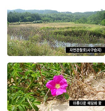 (주)해무 이미지